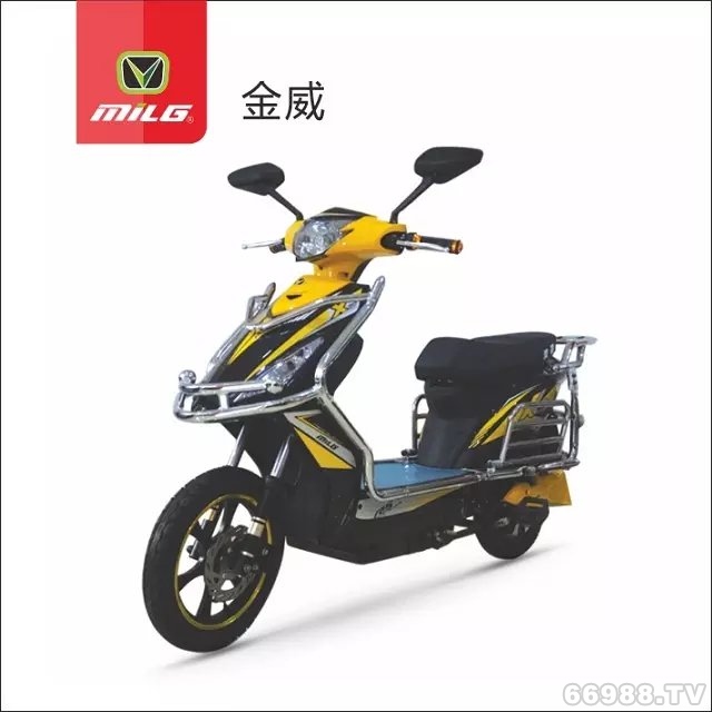 富騰達(dá)美翎金威電動(dòng)車(chē)