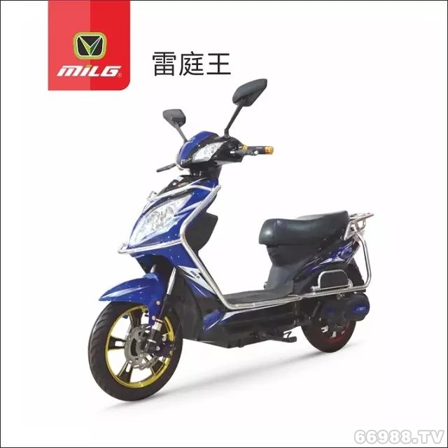 富騰達(dá)美翎雷霆王電動(dòng)車(chē)