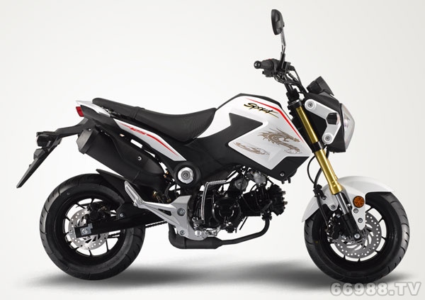 北方易初大陽DY125-32摩托車